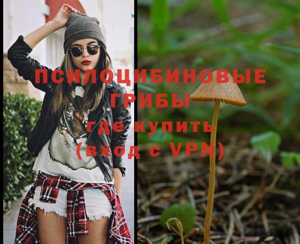 дурь Володарск