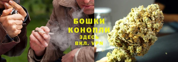 дурь Володарск