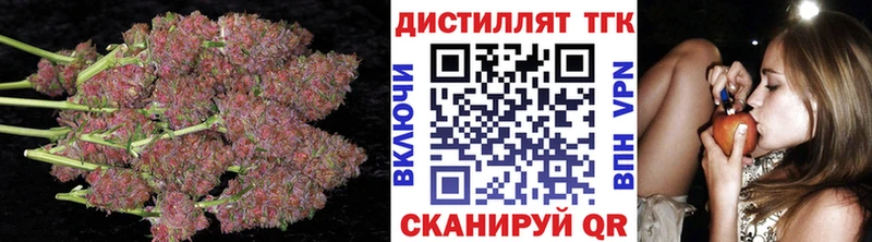 ТГК концентрат  Купить где  Тосно 